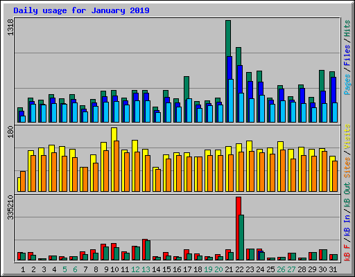 Daily usage for January 2019