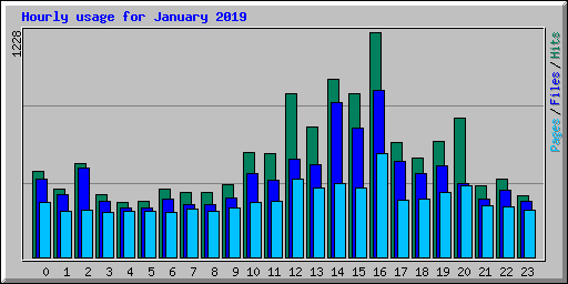 Hourly usage for January 2019