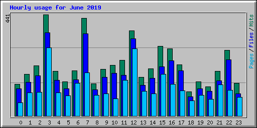 Hourly usage for June 2019