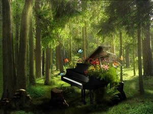 piano-forest